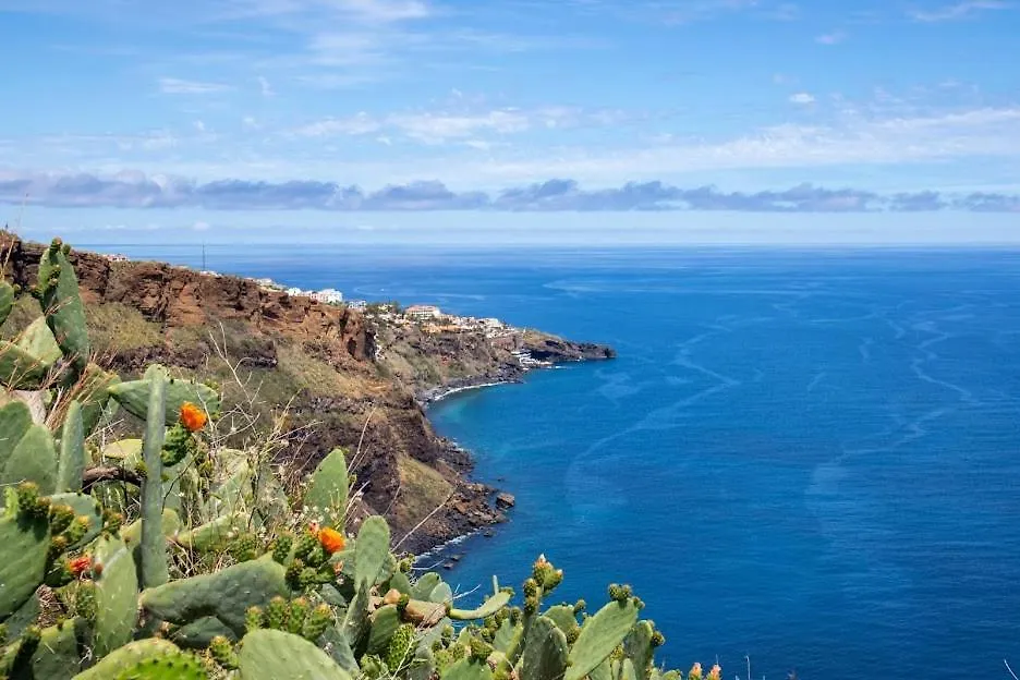 카니코 Enjoy Madeira 1 아파트