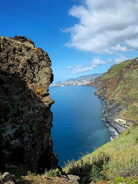 카니코 Enjoy Madeira 1 아파트 0*,